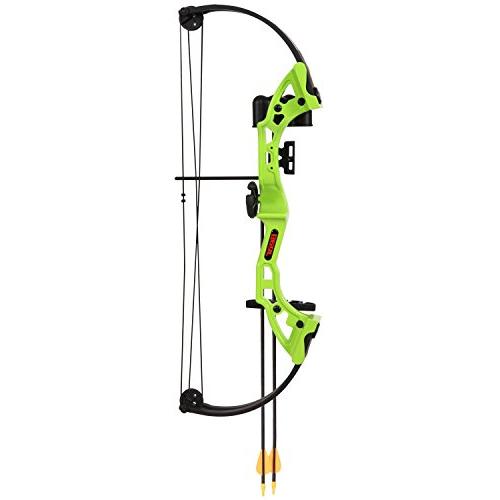 bass pro shop lil brave 2 bow youth bow